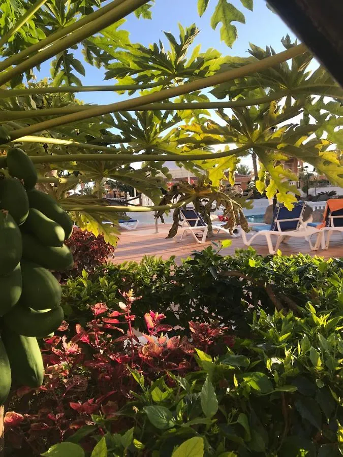 Daire Apartamento Las Vistas Beach - Tenerife Royal Gardens Playa de las Américas